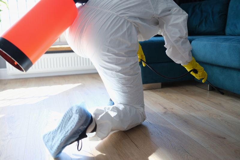 Pest Treatment Service
