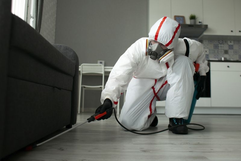 Emergency Pest Control Services